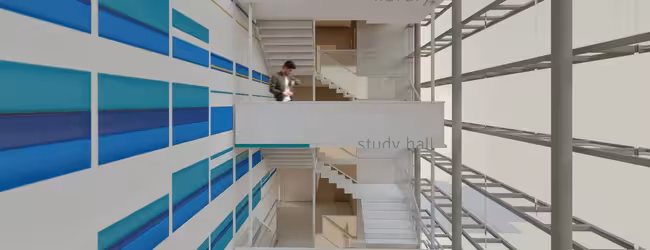 Link School of Business - Facull