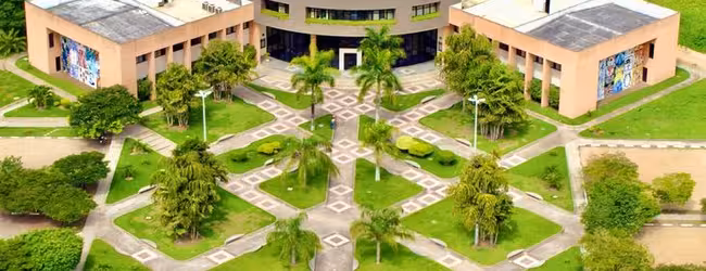 Universidade Estadual de Feira de Santana - Facull